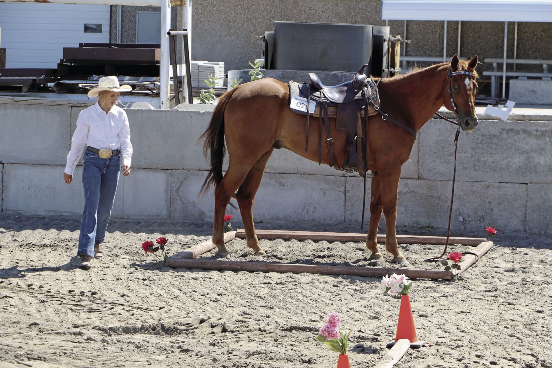 073122-ssh-new-horseshow-p12.jpg